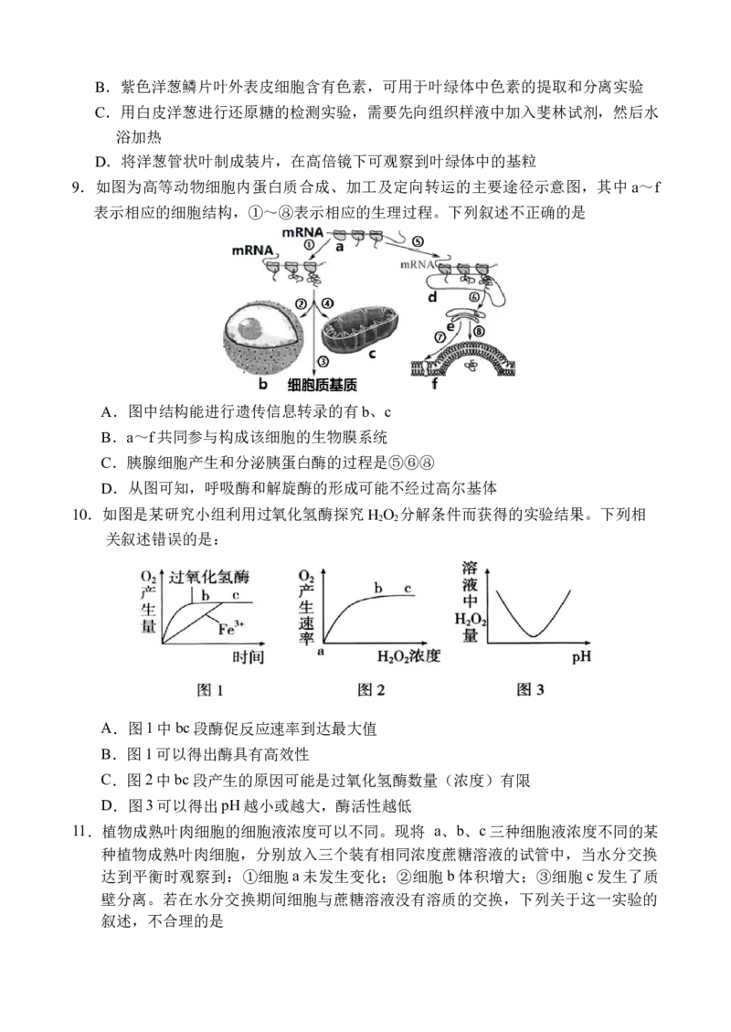 海南省文昌中学2025-2026学年高三上学期第一次月考生物试题_2025年9月_250916海南省文昌中学2025-2026学年高三上学期第一次月考（全科）