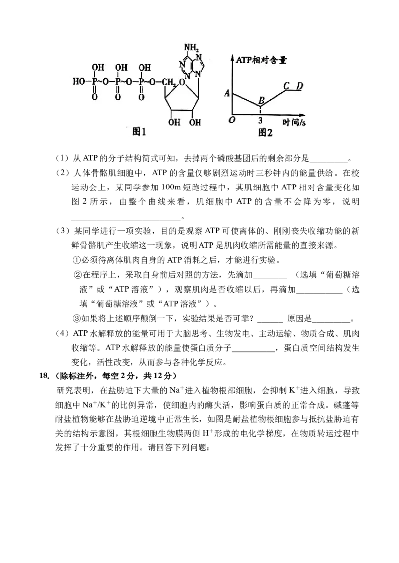 海南省文昌中学2025-2026学年高三上学期第一次月考生物试题_2025年9月_250916海南省文昌中学2025-2026学年高三上学期第一次月考（全科）