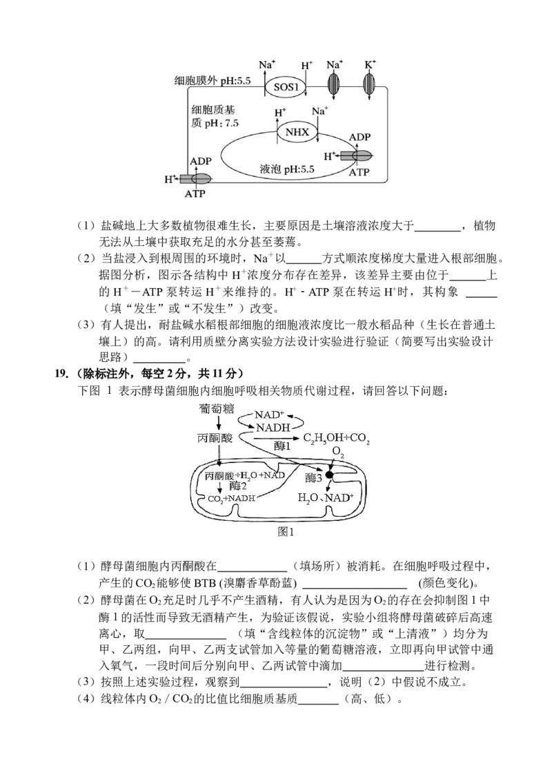 海南省文昌中学2025-2026学年高三上学期第一次月考生物试题_2025年9月_250916海南省文昌中学2025-2026学年高三上学期第一次月考（全科）