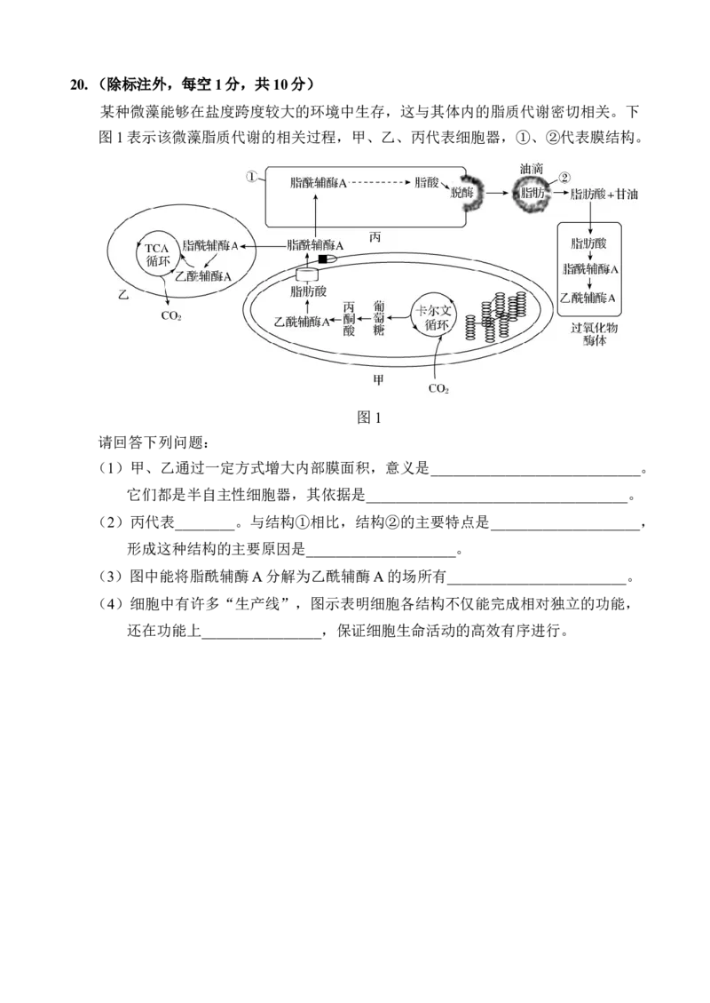 海南省文昌中学2025-2026学年高三上学期第一次月考生物试题_2025年9月_250916海南省文昌中学2025-2026学年高三上学期第一次月考（全科）