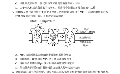 海南省文昌中学2025-2026学年高三上学期第一次月考生物试题_2025年9月_250916海南省文昌中学2025-2026学年高三上学期第一次月考（全科）