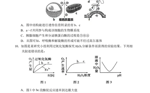 海南省文昌中学2025-2026学年高三上学期第一次月考生物试题_2025年9月_250916海南省文昌中学2025-2026学年高三上学期第一次月考（全科）