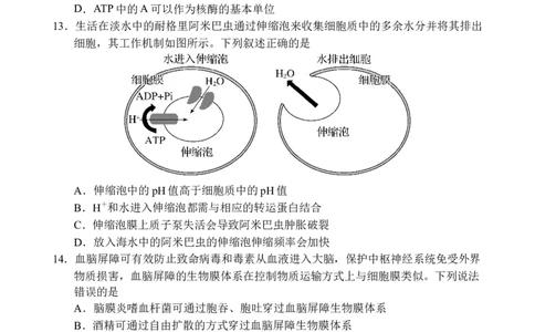 海南省文昌中学2025-2026学年高三上学期第一次月考生物试题_2025年9月_250916海南省文昌中学2025-2026学年高三上学期第一次月考（全科）