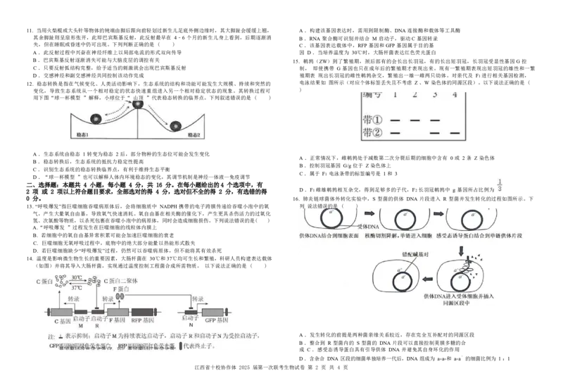 生物试卷_2025年1月_250112江西五市十校联考暨江西省十校协作体2025届高三第一次联考_江西省十校协作体2024-2025学年高三上学期第一次联考生物
