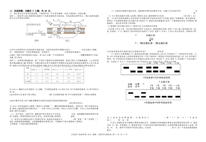 生物试卷_2025年1月_250112江西五市十校联考暨江西省十校协作体2025届高三第一次联考_江西省十校协作体2024-2025学年高三上学期第一次联考生物