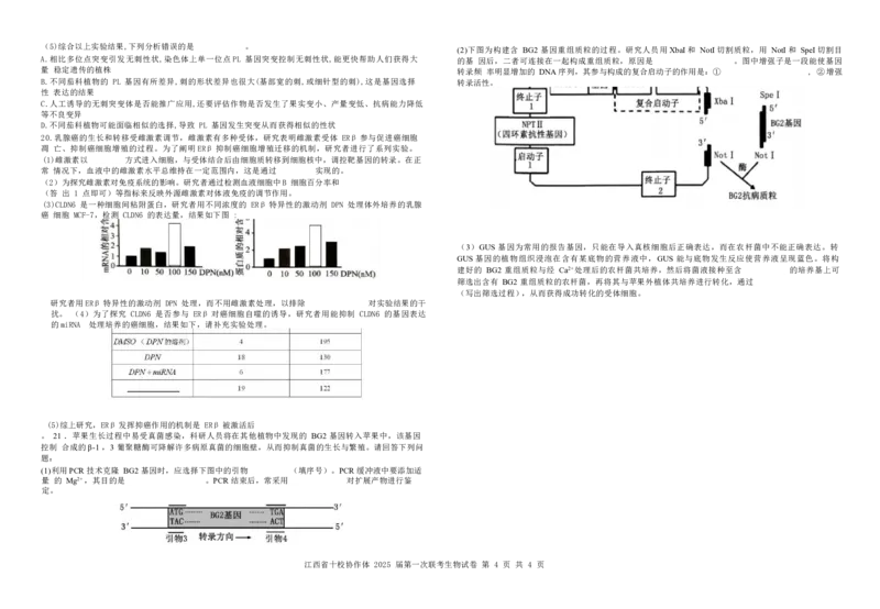 生物试卷_2025年1月_250112江西五市十校联考暨江西省十校协作体2025届高三第一次联考_江西省十校协作体2024-2025学年高三上学期第一次联考生物