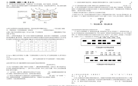 生物试卷_2025年1月_250112江西五市十校联考暨江西省十校协作体2025届高三第一次联考_江西省十校协作体2024-2025学年高三上学期第一次联考生物