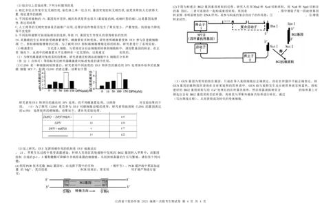 生物试卷_2025年1月_250112江西五市十校联考暨江西省十校协作体2025届高三第一次联考_江西省十校协作体2024-2025学年高三上学期第一次联考生物