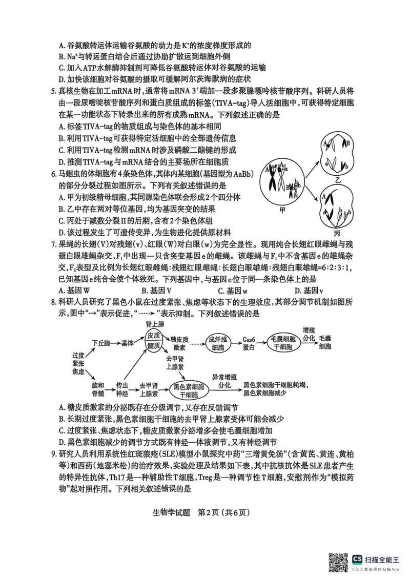 山西省太原市2025年高三年级模拟考试（二）生物_2025年4月_250426山西省太原市2025年高三年级模拟考试（二）（太原二模）（全科）_山西省太原市2025年高三年级模拟考试（二）生物