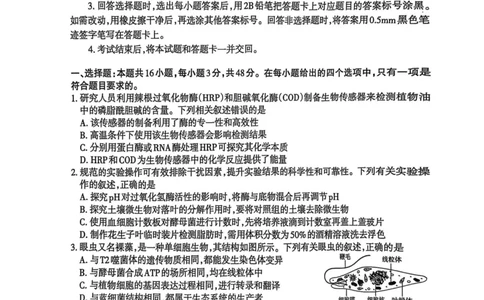 山西省太原市2025年高三年级模拟考试（二）生物_2025年4月_250426山西省太原市2025年高三年级模拟考试（二）（太原二模）（全科）_山西省太原市2025年高三年级模拟考试（二）生物