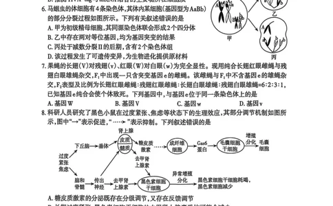 山西省太原市2025年高三年级模拟考试（二）生物_2025年4月_250426山西省太原市2025年高三年级模拟考试（二）（太原二模）（全科）_山西省太原市2025年高三年级模拟考试（二）生物