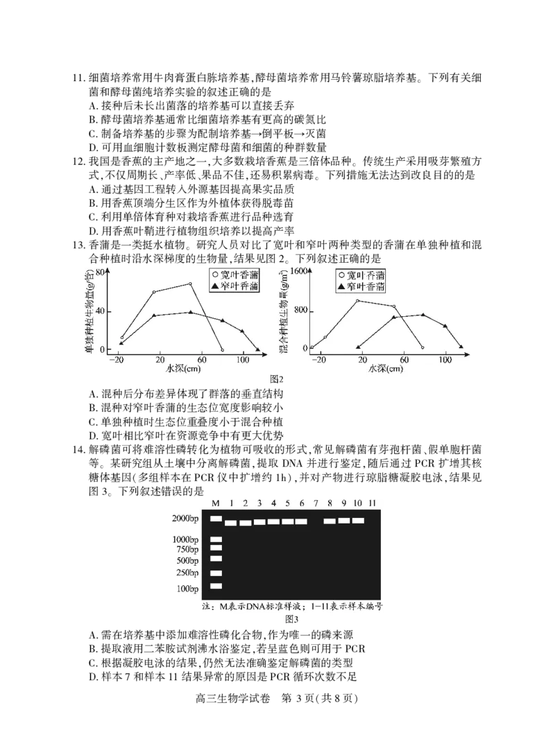 高三生物学_2025年3月_250313湖北省七市州高三年级2025年3月联合统一调研测试（全科）_生物