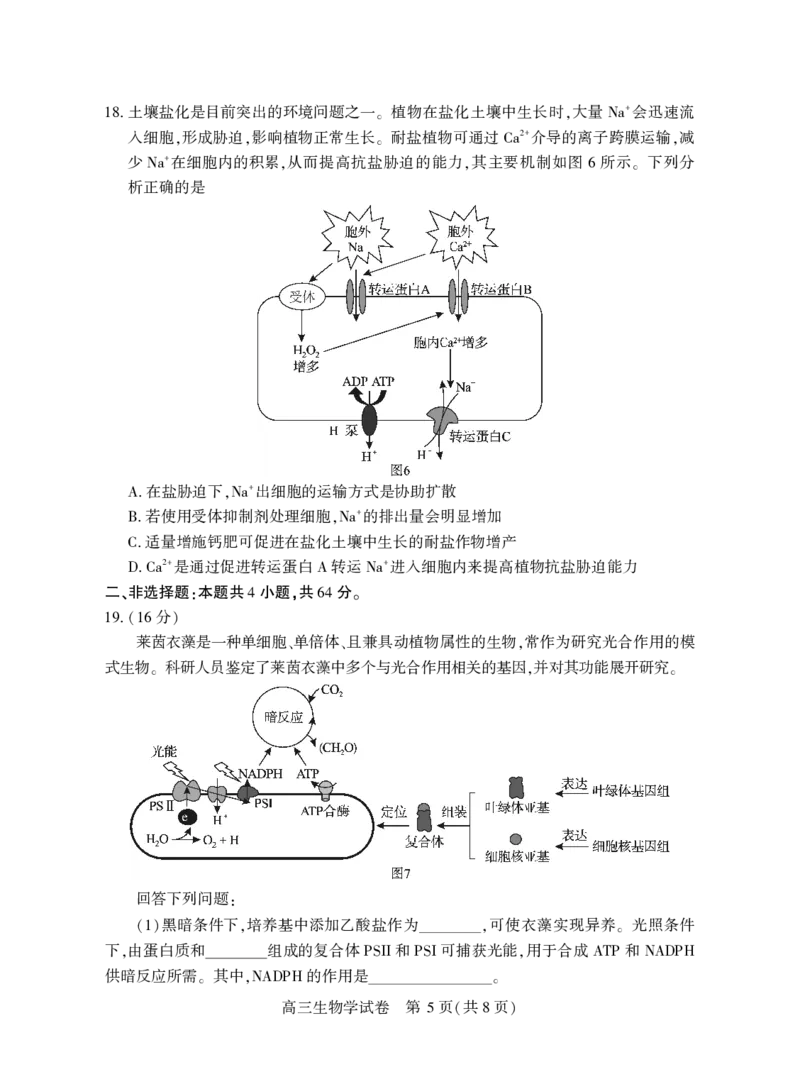 高三生物学_2025年3月_250313湖北省七市州高三年级2025年3月联合统一调研测试（全科）_生物