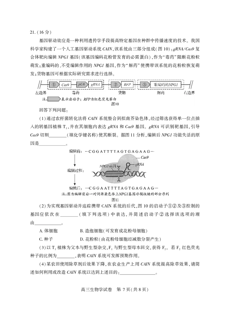 高三生物学_2025年3月_250313湖北省七市州高三年级2025年3月联合统一调研测试（全科）_生物