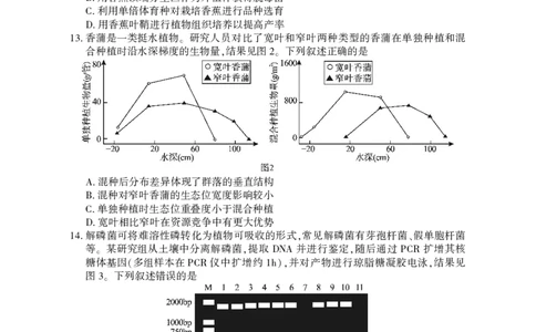高三生物学_2025年3月_250313湖北省七市州高三年级2025年3月联合统一调研测试（全科）_生物