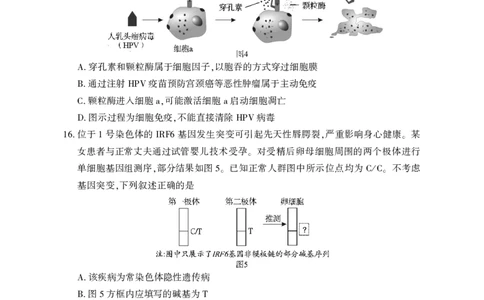 高三生物学_2025年3月_250313湖北省七市州高三年级2025年3月联合统一调研测试（全科）_生物