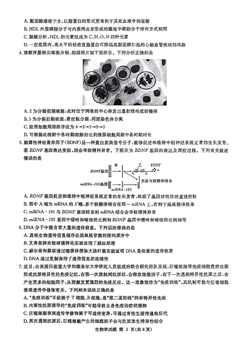 生物试卷-湖南省2026届高三九校联盟第一次联考_2025年10月_251001湖南九校联盟2026届高三上学期9月第一次联考（全科）_湖南省九校联盟2026届高三上学期9月第一次联考生物