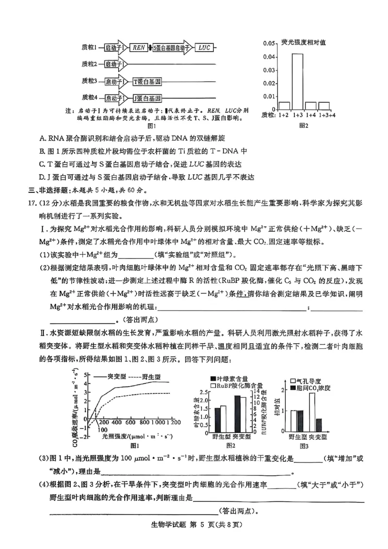 生物试卷-湖南省2026届高三九校联盟第一次联考_2025年10月_251001湖南九校联盟2026届高三上学期9月第一次联考（全科）_湖南省九校联盟2026届高三上学期9月第一次联考生物