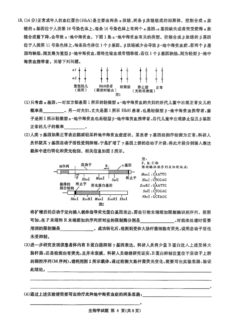 生物试卷-湖南省2026届高三九校联盟第一次联考_2025年10月_251001湖南九校联盟2026届高三上学期9月第一次联考（全科）_湖南省九校联盟2026届高三上学期9月第一次联考生物