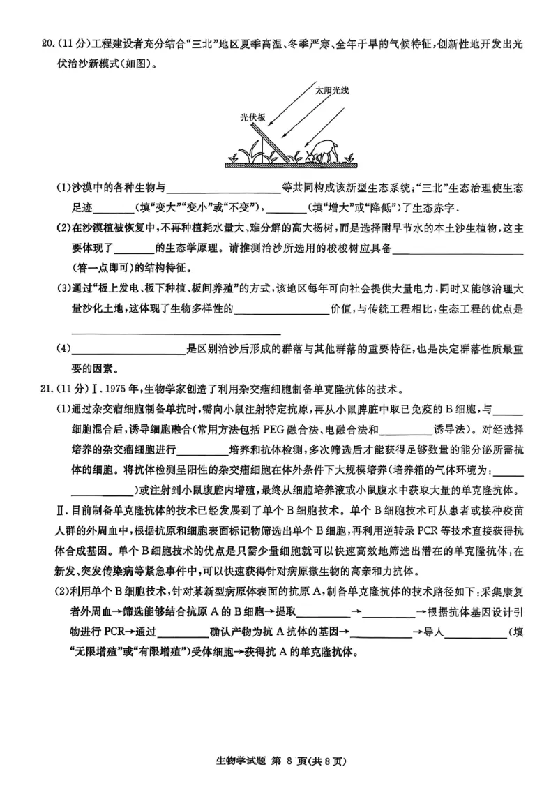 生物试卷-湖南省2026届高三九校联盟第一次联考_2025年10月_251001湖南九校联盟2026届高三上学期9月第一次联考（全科）_湖南省九校联盟2026届高三上学期9月第一次联考生物