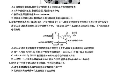 生物试卷-湖南省2026届高三九校联盟第一次联考_2025年10月_251001湖南九校联盟2026届高三上学期9月第一次联考（全科）_湖南省九校联盟2026届高三上学期9月第一次联考生物