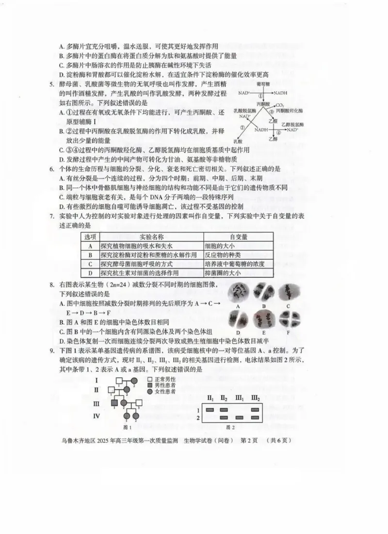 新疆乌鲁木齐地区2025年高三年级第一次质量监测生物_2025年1月_250123新疆乌鲁木齐地区2025年高三年级第一次质量监测