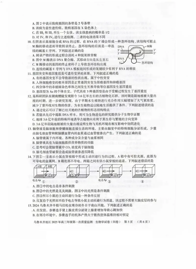 新疆乌鲁木齐地区2025年高三年级第一次质量监测生物_2025年1月_250123新疆乌鲁木齐地区2025年高三年级第一次质量监测