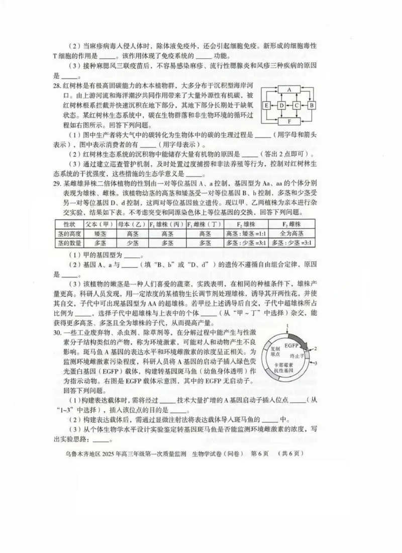 新疆乌鲁木齐地区2025年高三年级第一次质量监测生物_2025年1月_250123新疆乌鲁木齐地区2025年高三年级第一次质量监测