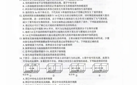 新疆乌鲁木齐地区2025年高三年级第一次质量监测生物_2025年1月_250123新疆乌鲁木齐地区2025年高三年级第一次质量监测