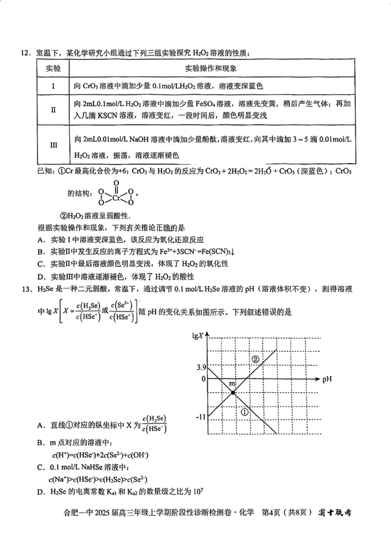 安徽省十联考合肥市第一中学等校2025届高三上学期阶段性诊断检测化学_2025年1月_250102安徽省十联考合肥市第一中学等校2025届高三上学期阶段性诊断检测