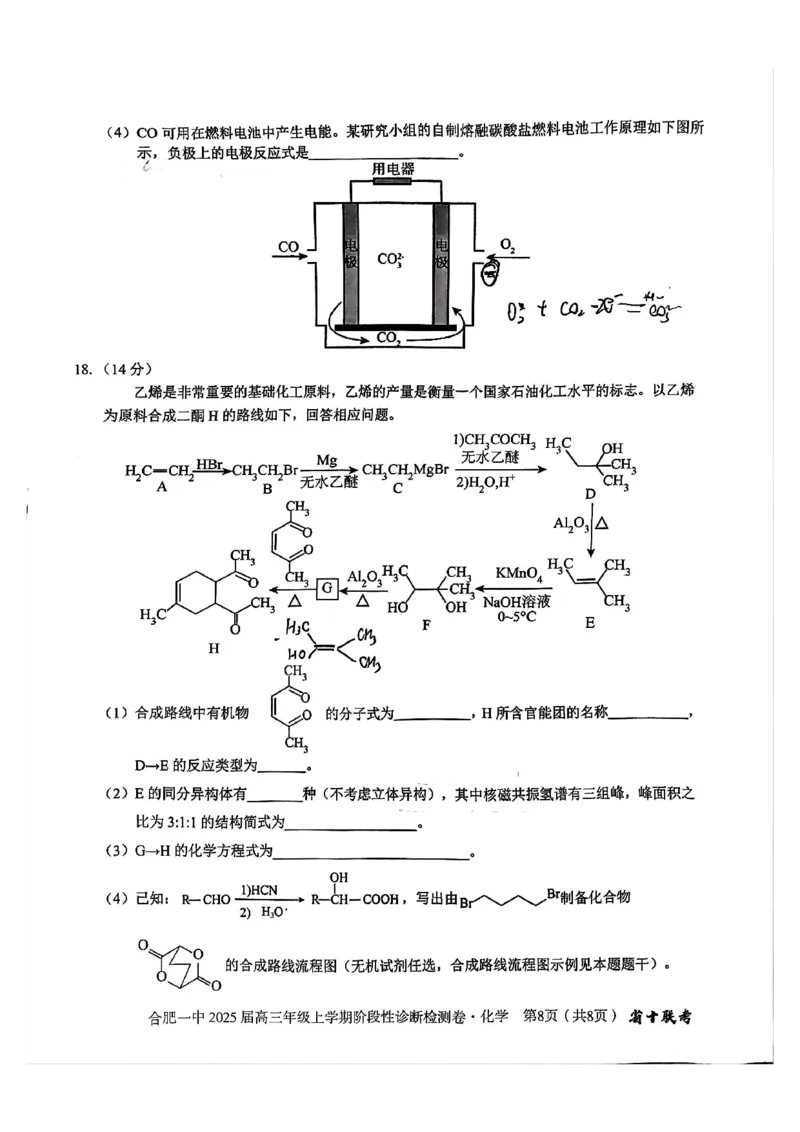 安徽省十联考合肥市第一中学等校2025届高三上学期阶段性诊断检测化学_2025年1月_250102安徽省十联考合肥市第一中学等校2025届高三上学期阶段性诊断检测