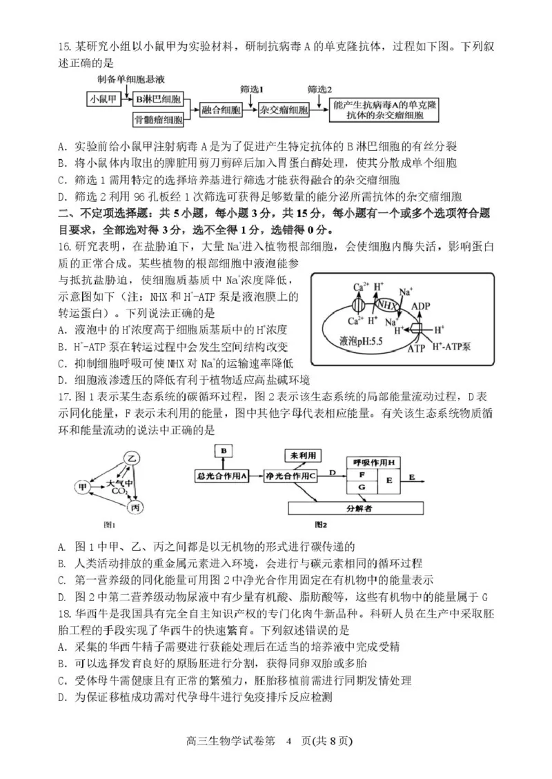 辽宁省丹东市2025届高三下学期3月总复习质量测试（一）生物含答案_2025年4月_250402辽宁省丹东市2025届高三下学期3月总复习质量测试（一）（全科）