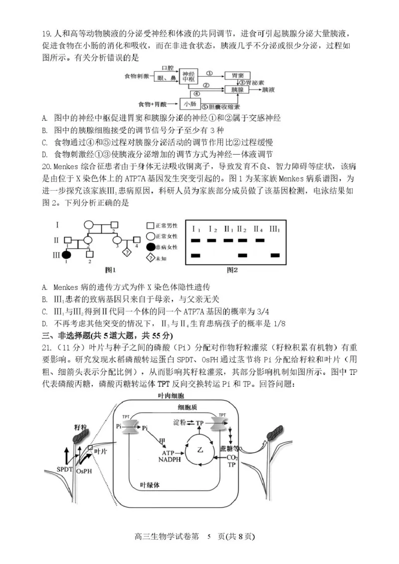 辽宁省丹东市2025届高三下学期3月总复习质量测试（一）生物含答案_2025年4月_250402辽宁省丹东市2025届高三下学期3月总复习质量测试（一）（全科）