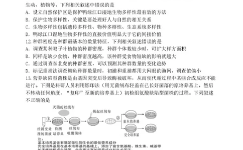 辽宁省丹东市2025届高三下学期3月总复习质量测试（一）生物含答案_2025年4月_250402辽宁省丹东市2025届高三下学期3月总复习质量测试（一）（全科）