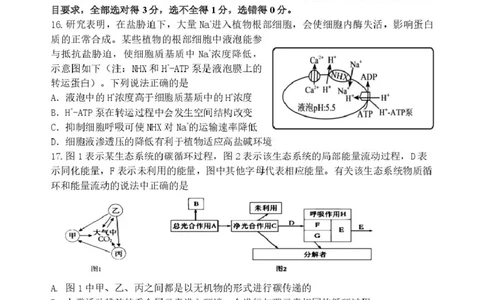 辽宁省丹东市2025届高三下学期3月总复习质量测试（一）生物含答案_2025年4月_250402辽宁省丹东市2025届高三下学期3月总复习质量测试（一）（全科）