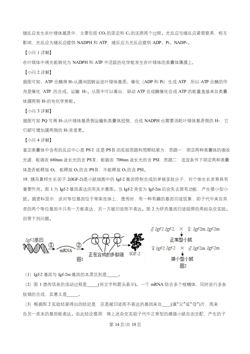 湖南省益阳市2026届高三上学期9月教学质量监测生物试题Word版含解析_2025年9月_250909湖南省益阳市2026届高三上学期9月教学质量监测（全科）