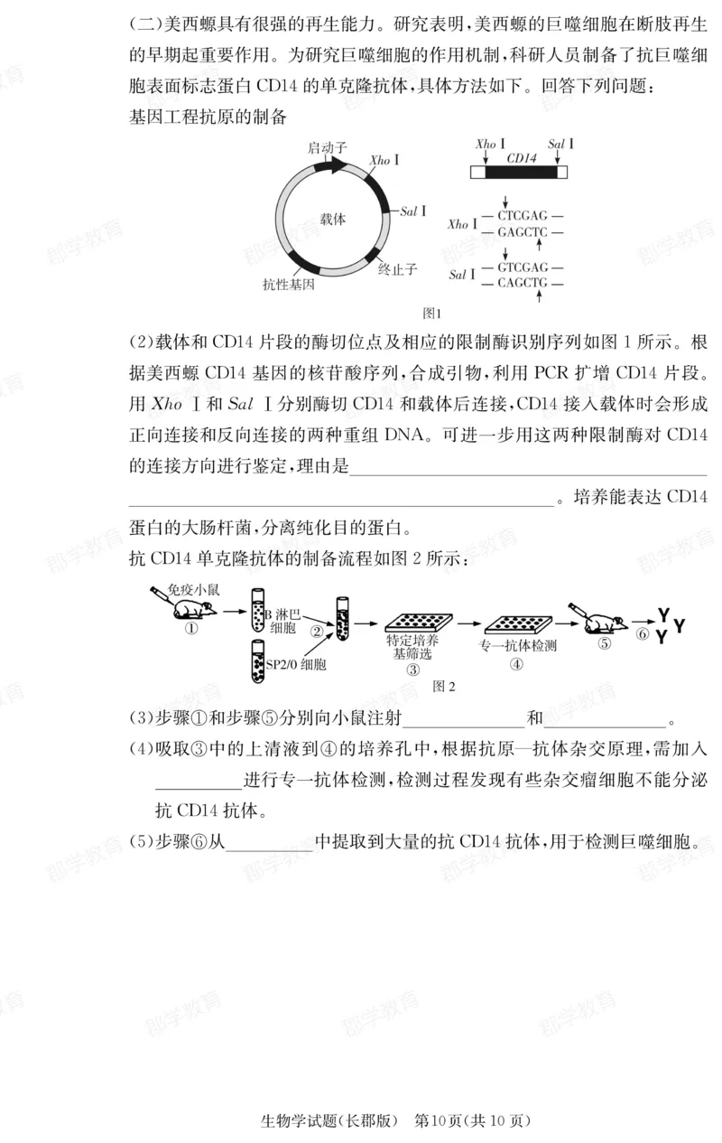 湖南省炎德&middot;英才大联考长郡中学2025届高三月考试卷（六）生物_2025年2月_250209湖南省炎德&middot;英才大联考长郡中学2025届高三月考试卷（六）（全科）