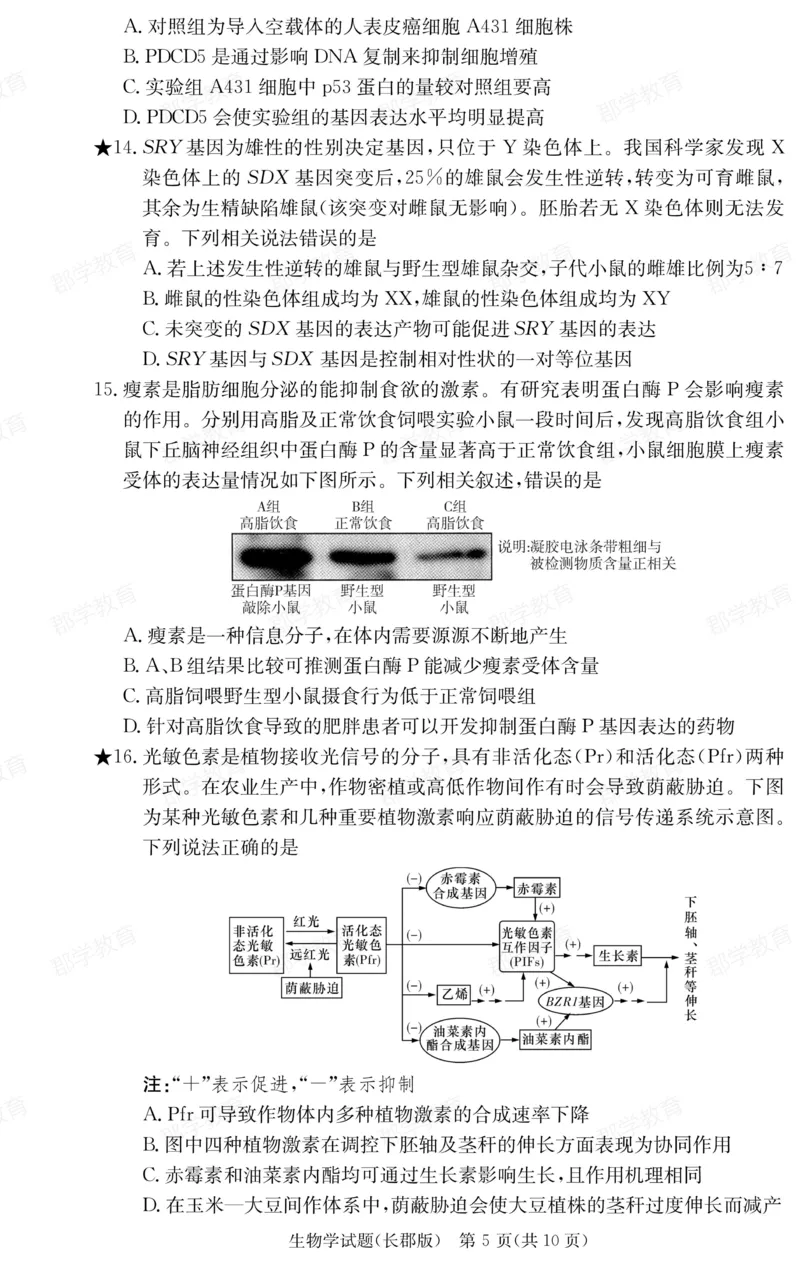 湖南省炎德&middot;英才大联考长郡中学2025届高三月考试卷（六）生物_2025年2月_250209湖南省炎德&middot;英才大联考长郡中学2025届高三月考试卷（六）（全科）