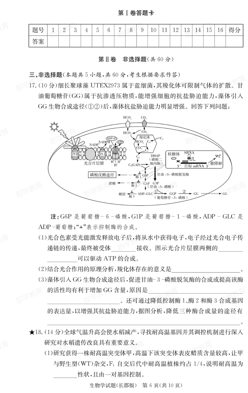 湖南省炎德&middot;英才大联考长郡中学2025届高三月考试卷（六）生物_2025年2月_250209湖南省炎德&middot;英才大联考长郡中学2025届高三月考试卷（六）（全科）