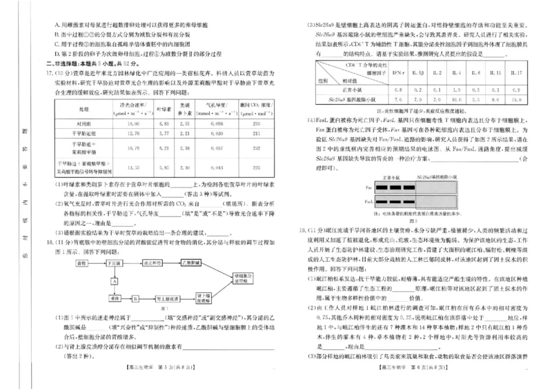 河南省新乡金太阳2025届高三第二次模拟-生物试题+答案_2025年4月_250410河南省新乡金太阳2025届高三第二次模拟（全科）