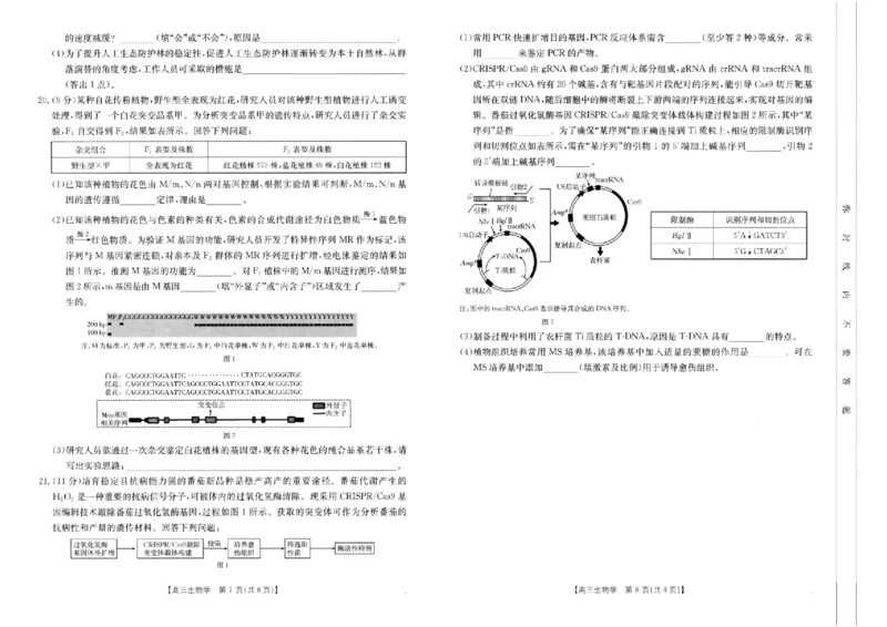 河南省新乡金太阳2025届高三第二次模拟-生物试题+答案_2025年4月_250410河南省新乡金太阳2025届高三第二次模拟（全科）