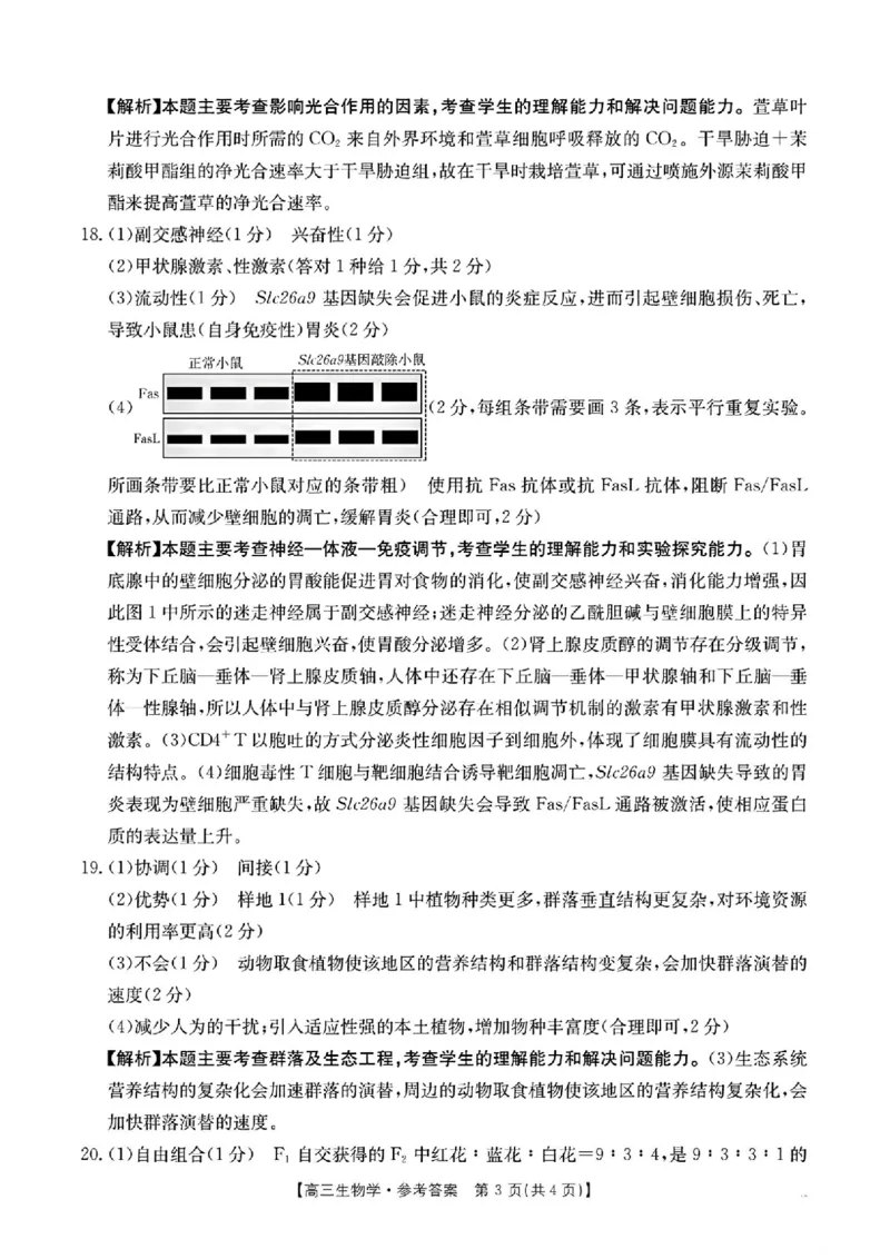 河南省新乡金太阳2025届高三第二次模拟-生物试题+答案_2025年4月_250410河南省新乡金太阳2025届高三第二次模拟（全科）