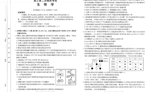 河南省新乡金太阳2025届高三第二次模拟-生物试题+答案_2025年4月_250410河南省新乡金太阳2025届高三第二次模拟（全科）