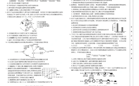 河南省新乡金太阳2025届高三第二次模拟-生物试题+答案_2025年4月_250410河南省新乡金太阳2025届高三第二次模拟（全科）