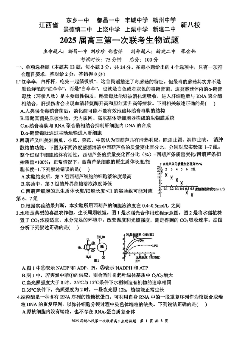 生物_2025年1月_250124江西省新八校2025届高三第一次联考（全科）_江西省新八校2025届高三第一次联考生物