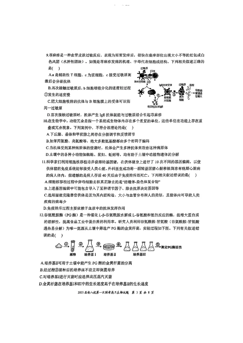 生物_2025年1月_250124江西省新八校2025届高三第一次联考（全科）_江西省新八校2025届高三第一次联考生物