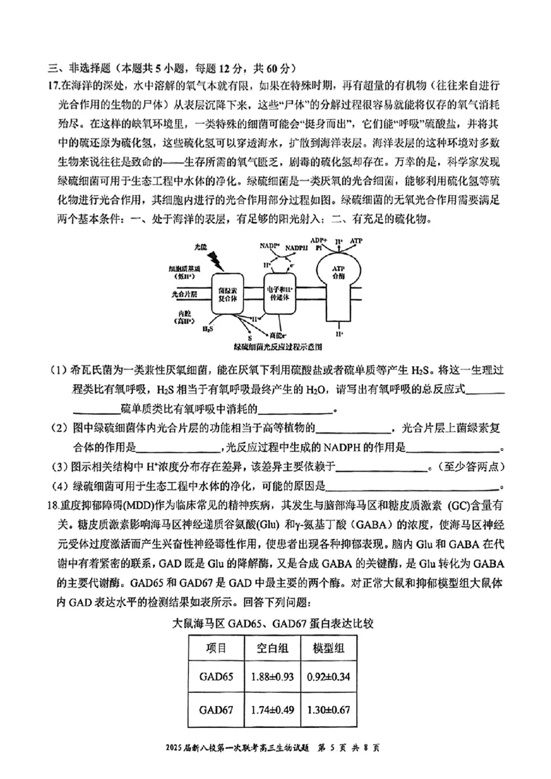 生物_2025年1月_250124江西省新八校2025届高三第一次联考（全科）_江西省新八校2025届高三第一次联考生物