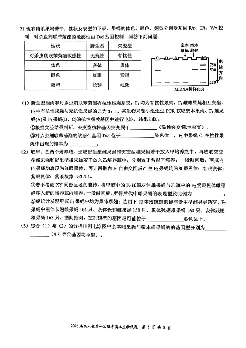 生物_2025年1月_250124江西省新八校2025届高三第一次联考（全科）_江西省新八校2025届高三第一次联考生物