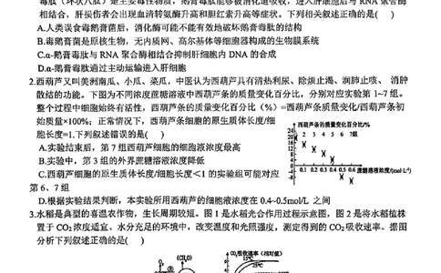 生物_2025年1月_250124江西省新八校2025届高三第一次联考（全科）_江西省新八校2025届高三第一次联考生物