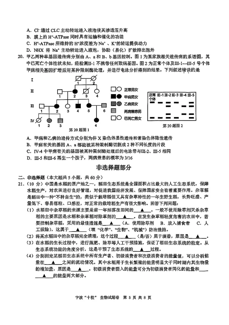 生物试卷_2025年3月_250314浙江省宁波市宁波&ldquo;十校&rdquo;2025届高三3月联考（全科）_浙江省宁波十校联考2024-2025学年高三下学期3月联考生物